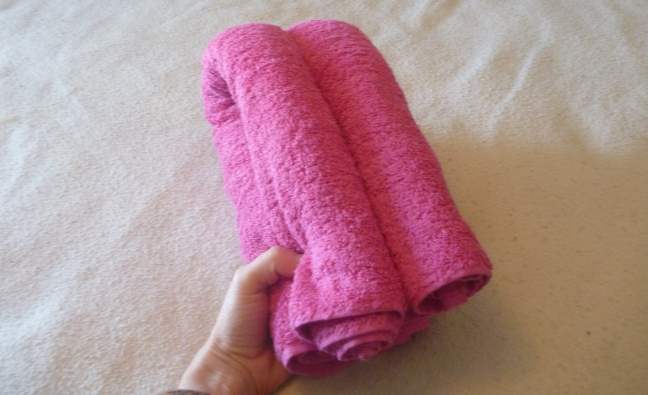 how to fold cruise ship towel animals