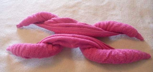 standard towel animal body