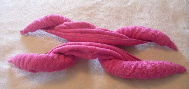 standard towel animal body