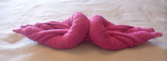 making towel animals