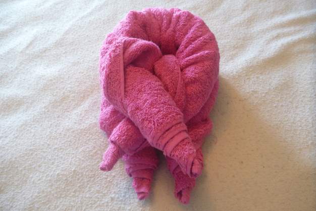 Towel Animal folding instructions