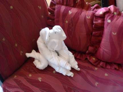 Cruise Ship Towel Animals