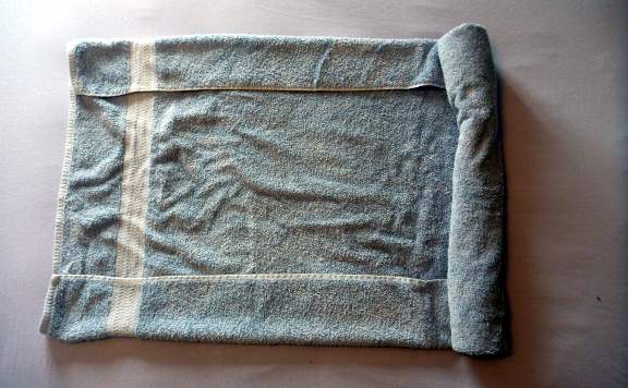 How to fold a cruise ship towel elephant