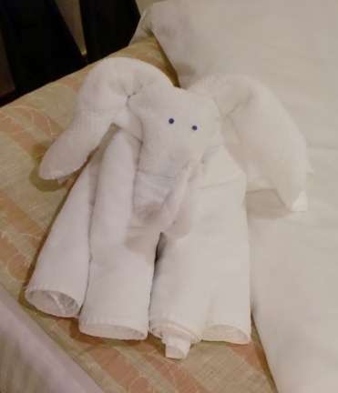 towel elephant on Carnival Liberty