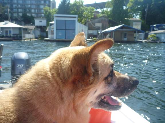 Portage Bay, Seattle