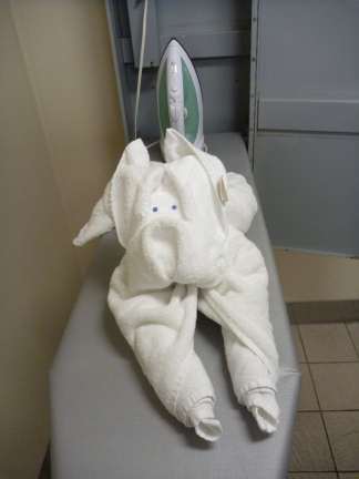cruise ship towel animals