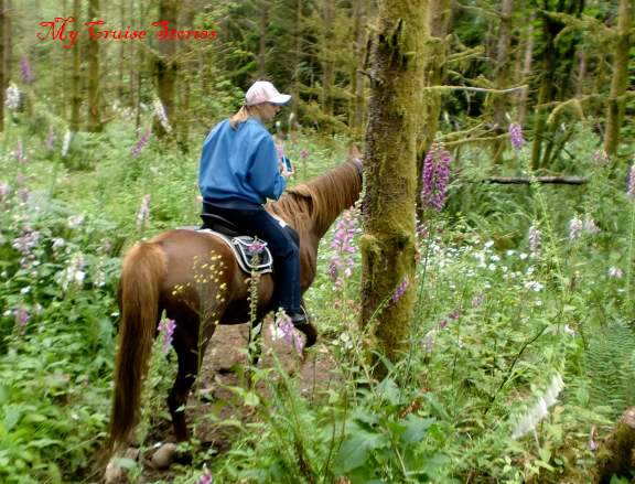 riding with Lilla Rose flexi clip
