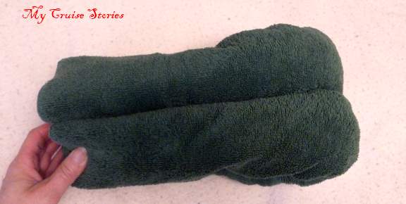 turtle body3 how to make cruise ship towel animals