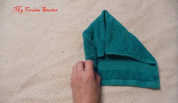 turtle head4 washcloth animal head