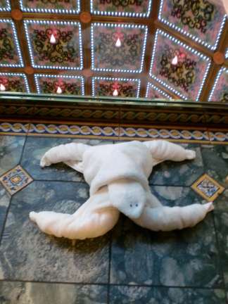 Cruise ship towel turtle