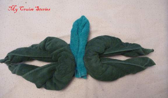 turtle other1 making a towel turtle