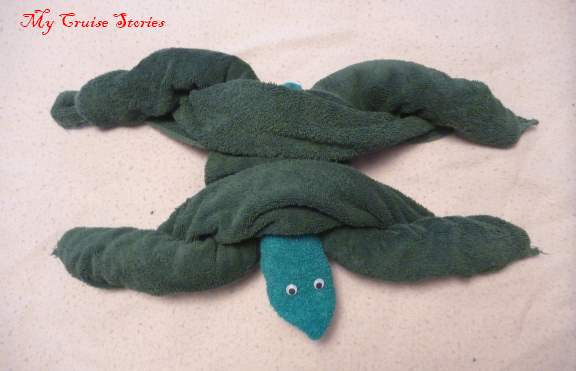 turtle other2 towel turtle #2