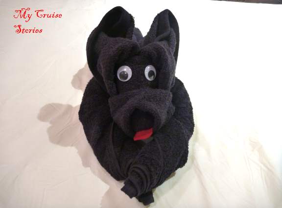 How to make a towel dog