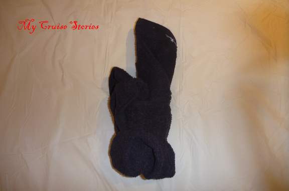 Dog head11 making a towel dog head