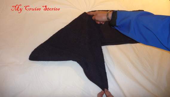 folding a towel dog head
