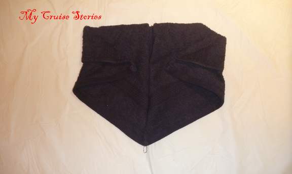 Dog head6 making a towel dog head