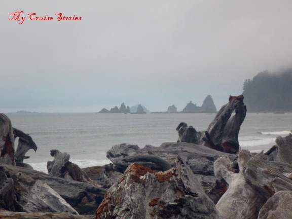 logs pile up in winter storms
