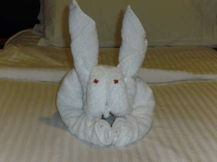 towel rabbit on Norwegian Sun