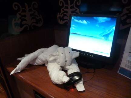 cruise ship towel cat