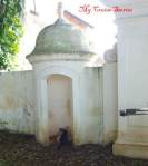 San Juan Cats P1030373 Cat in Puerto Rico