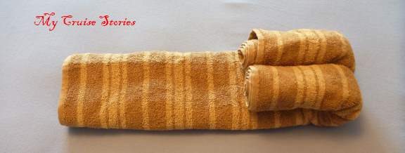 step by step towel animal folding instructions with photos
