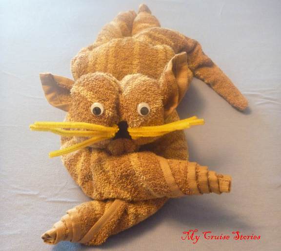 how to make a cruise ship towel cat