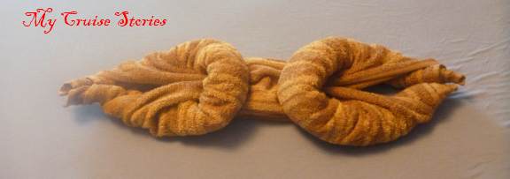 how to fold a towel kitty