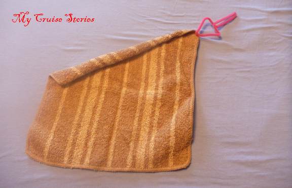 washcloth cat tail folding instructions