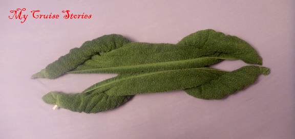 dinosaur 4 towel animal folding directions