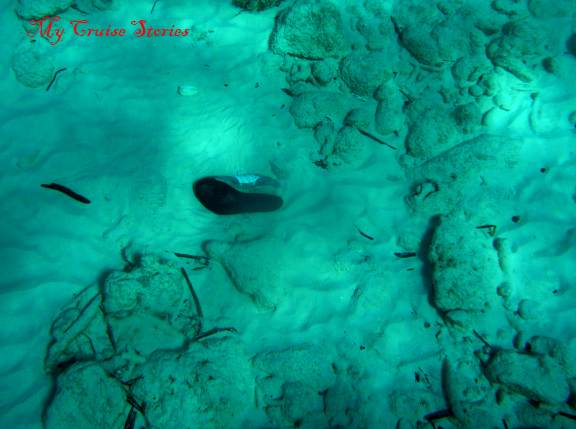 shoes don't belong underwater