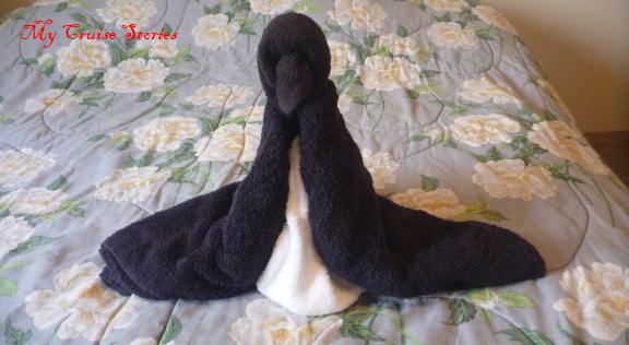 a towel penguin emerges