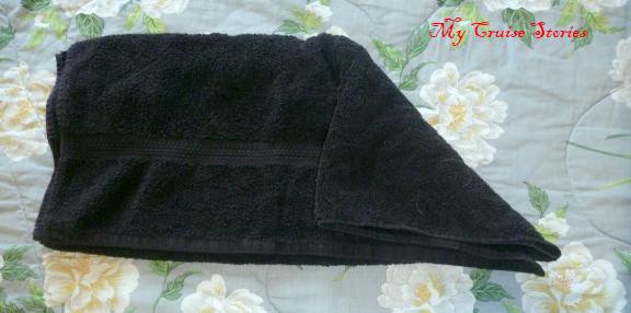 instructions for folding a towel penguin