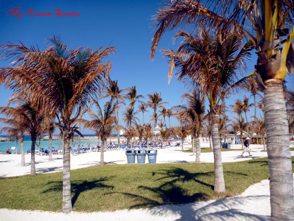 hurricane damaged trees