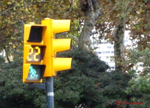 amusing traffic light