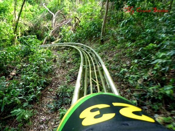 Jamaican Bobsled roller coaster through the rainforest