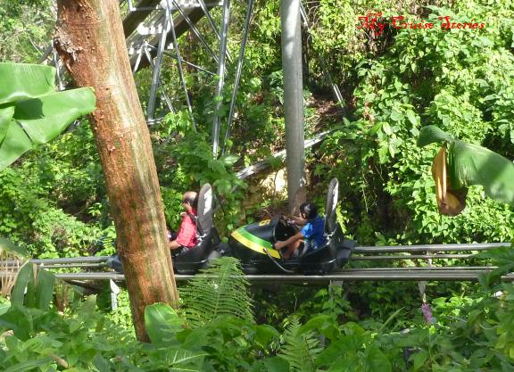riding on the Jamacian Bobsled roller coaster