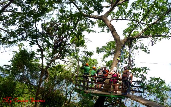 rainforest canopy zip line