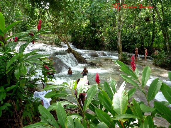 Dunn's River Falls