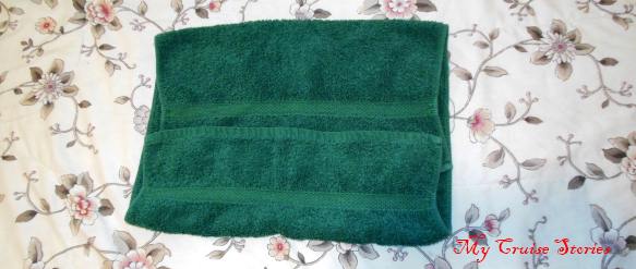 how to fold a towel anteater head