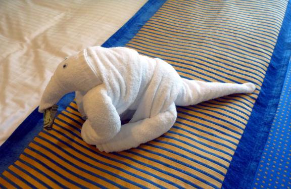towel anteater