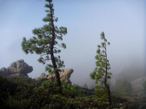 Highest Point of Grand Canary Island in a storm