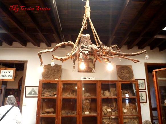 inside the museum of odd things