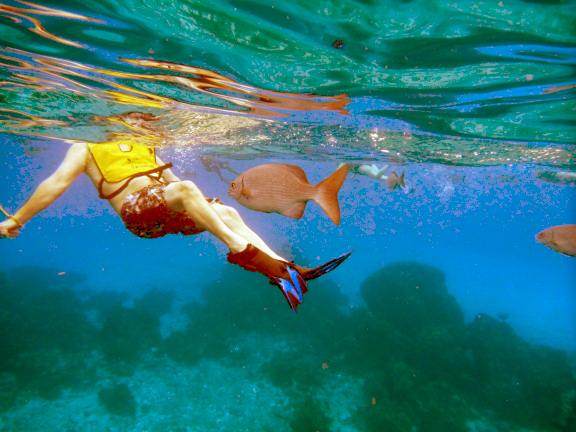 chased by a fish and didn't even know it