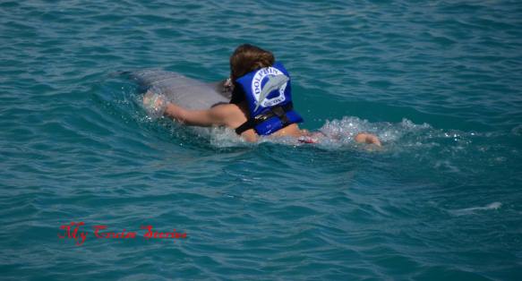 dolphin encounter, Grand Fa