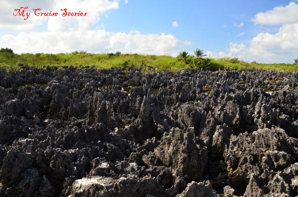 hellof a lot of rocks at Hell Grand Cayman