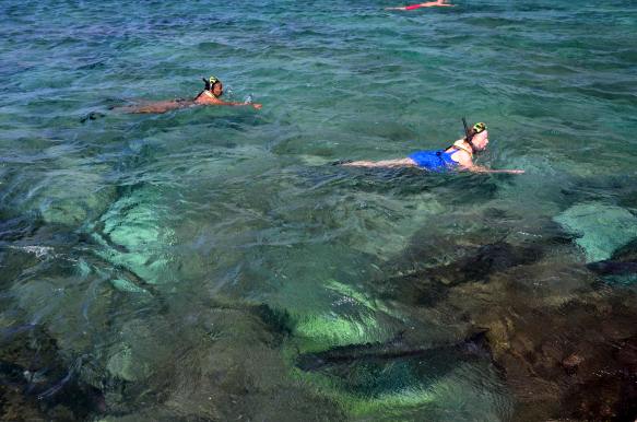 Grand Cayman shore snorkeliing