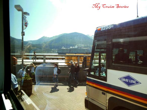 shore excursion bus