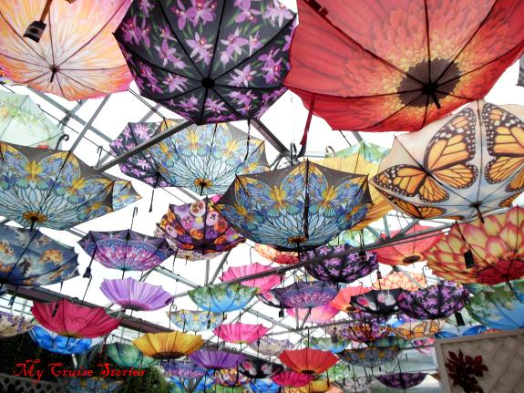 gift shop at Glacier Gardens