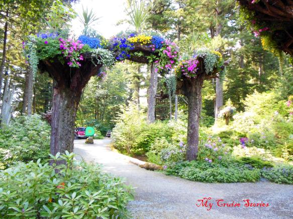 uprooted trees with flowers on top