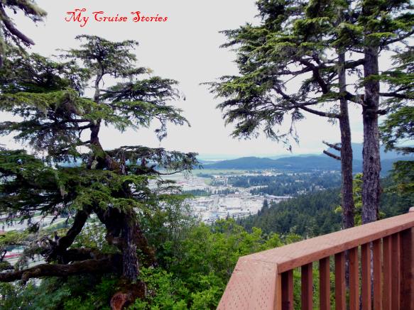 Glacier Gardens shore excursion includes tram ride up a mountain